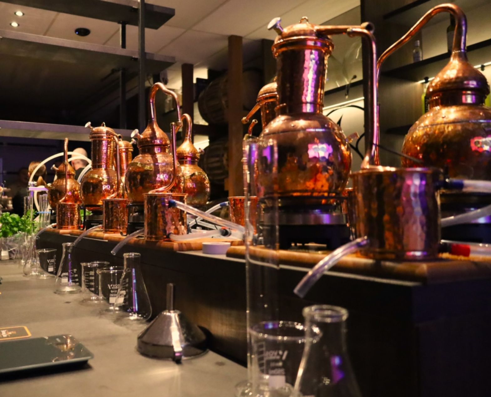 Gin distilleer workshop Hoorn - Perfect voor bedrijfsuitjes en teambuilding